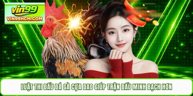 Luật thi đấu đá gà cựa dao giúp trận đấu minh bạch hơn