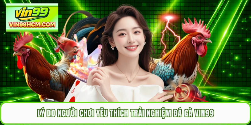 Lý do người chơi yêu thích trải nghiệm đá gà VIN99