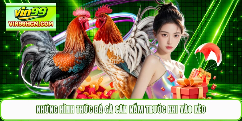 Những hình thức đá gà cần nắm trước khi vào kèo